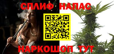 СК Моздок