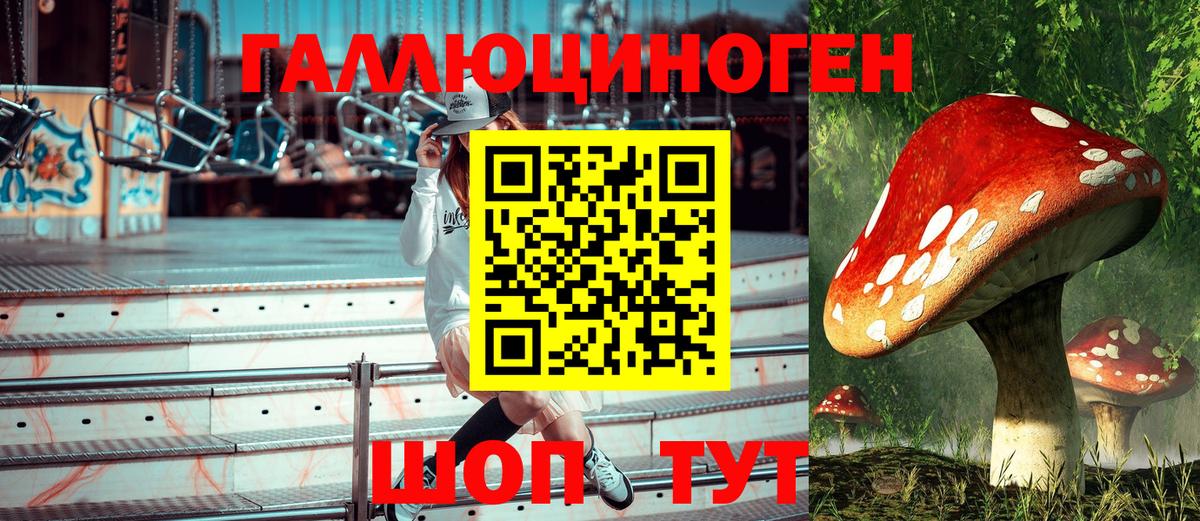 Псилоцибиновые грибы Psilocybine cubensis  Псилоцибиновые грибы мухоморы  Вход с VPN  Строитель 