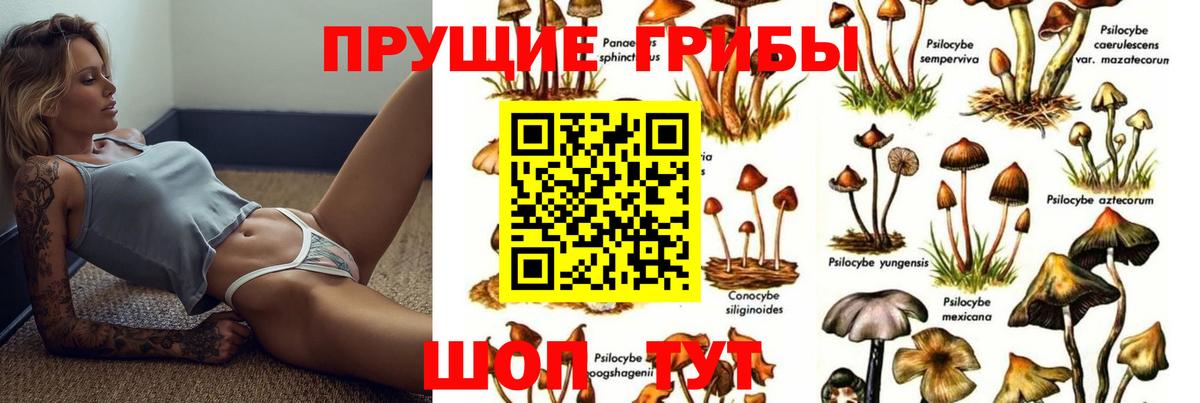 Галлюциногенные грибы мухоморы Строитель